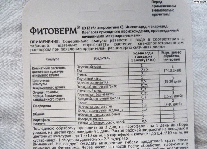 Колорадський жук: перевірені засоби та препарати для боротьби зі шкідником