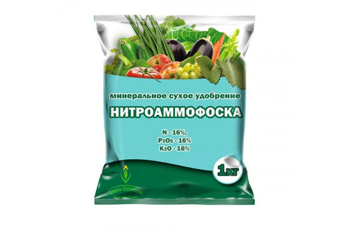 Хлороз винограду