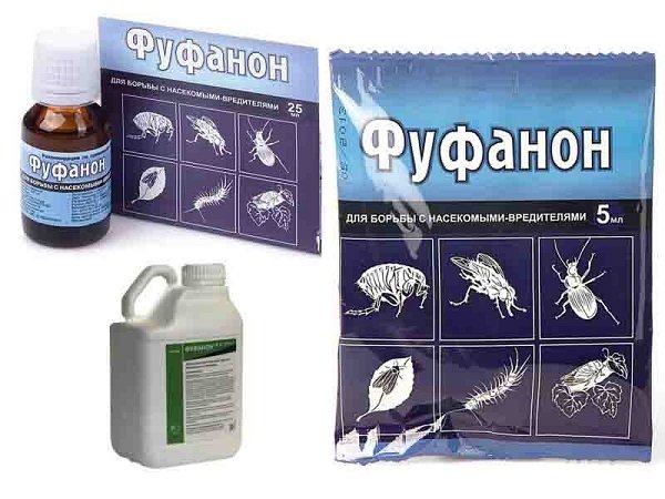 Чим краще цькувати постільних клопів: 10 кращих засобів