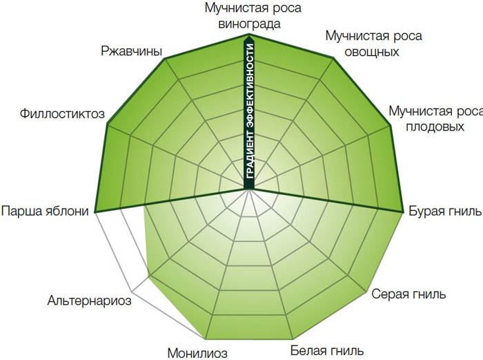 Фунгіцид Місяць Транквіліті &ndash; опис, інструкція застосування, відгуки