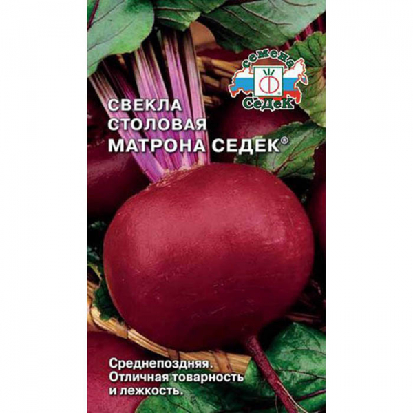 Сорти буряків – 60 найкращих сортів 2024 року