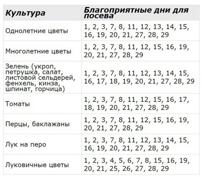 Що сіяти в лютому на розсаду 2024 &mdash; які квіти та овочі сіяти у лютому
