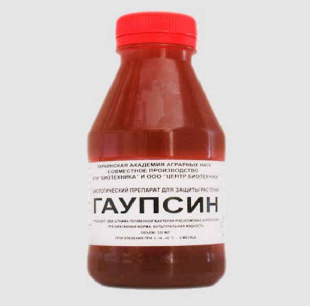 Крупа кіноа &ndash; що це? Від А до Я про кіноа: вирощування, користь, як готувати (30 фото)