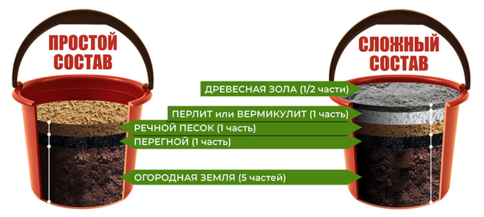 Кращий ґрунт для розсади &mdash; рейтинг 2024