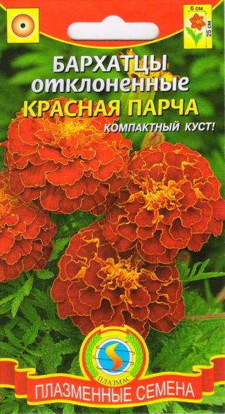 Чорнобривці (70 фото) — сорти, вирощування та догляд за найкориснішою квіткою