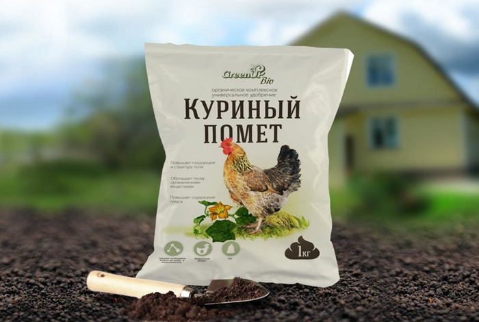 Гортензія волотиста Сандей Фрайз (65 фото) &mdash; опис сорту, посадка та догляд