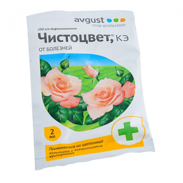 Крупнолиста гортензія (100 фото): опис, сорти, посадка та догляд