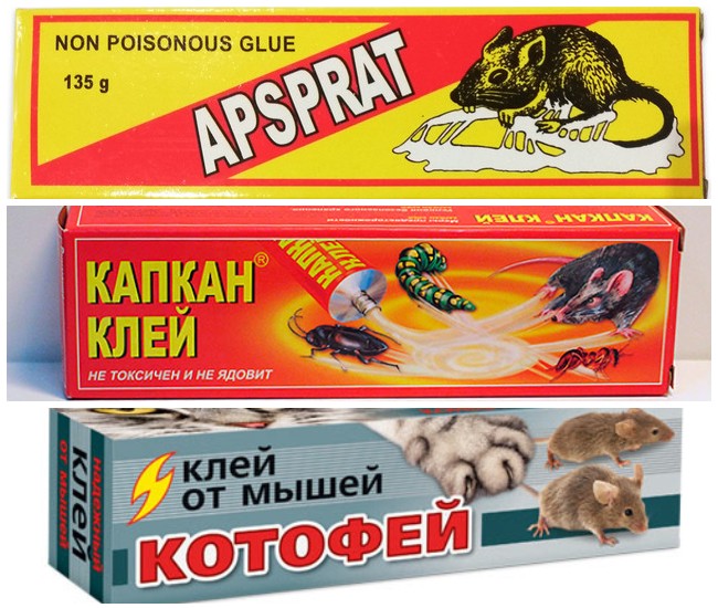 Клейова пастка для мишей