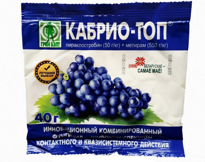 Борошниста роса на огірках: заходи боротьби у теплицях та на відкритому ґрунті