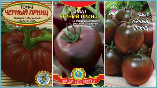 Томат Чорний принц: характеристика, опис сорту фото та відгуки