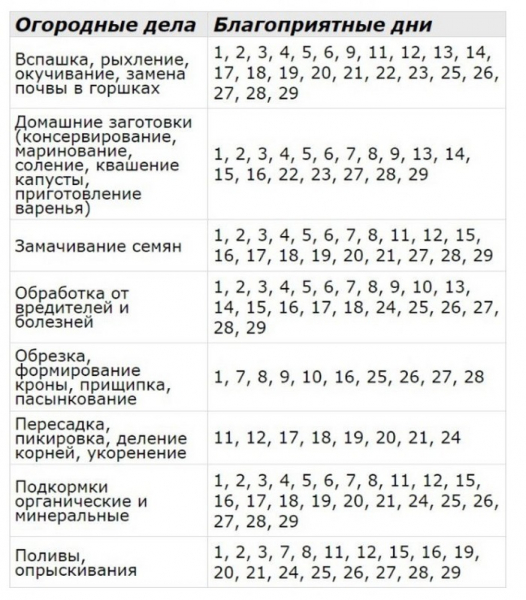 Що сіяти в лютому на розсаду 2024 &mdash; які квіти та овочі сіяти у лютому
