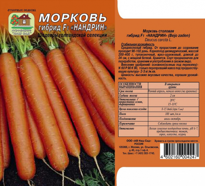 Як зберігати моркву &mdash; 20 ефективних способів