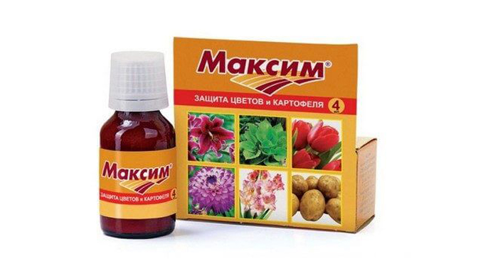 Фунгіцид Максим &mdash; інструкція із застосування, відгуки