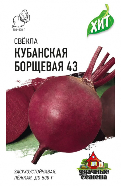 Сорти буряків – 60 найкращих сортів 2024 року