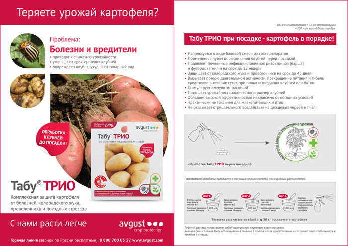 Картопля Корольова Анна (40 фото) &ndash; опис сорту, смакові якості, відгуки