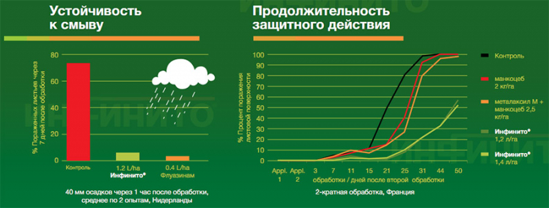 Фунгіцид Інфініто &mdash; інструкція із застосування та відгуки