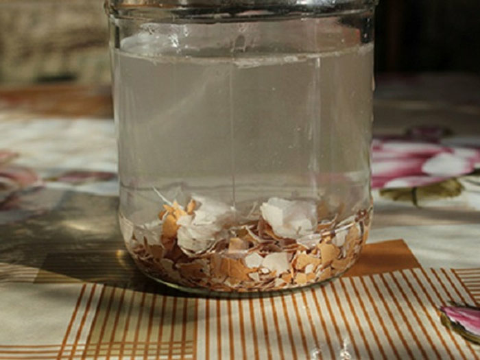 Підживлення перцю - коли і чим підгодувати перець