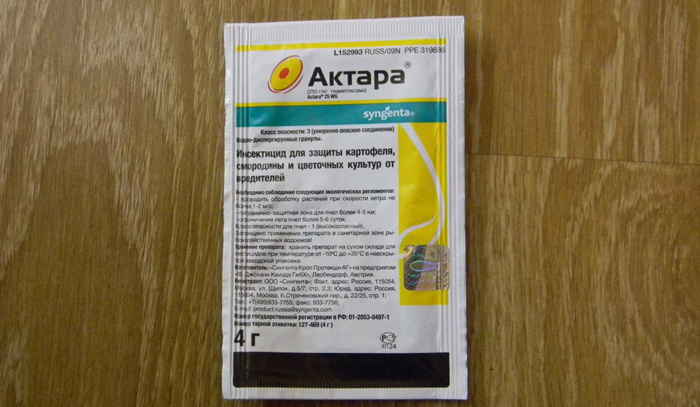 Аглаонема в домашніх умовах &mdash; опис, догляд, фото квітки