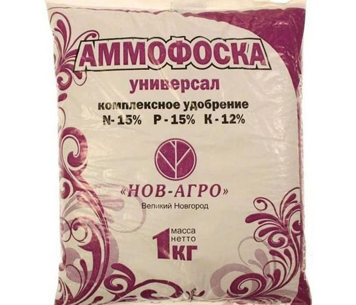 Як підкислити ґрунт &ndash; основні способи для лохини, гортензії, хвойних.