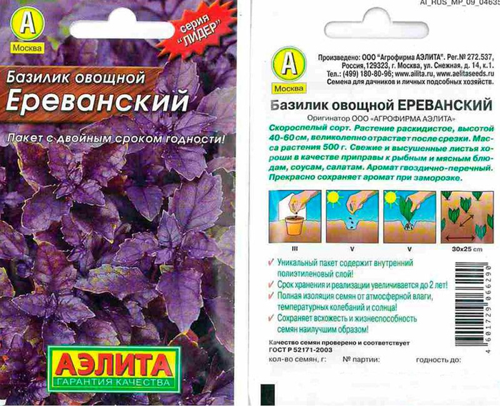 Як виростити базилік &ndash; сорти, вирощування прянощі від А до Я
