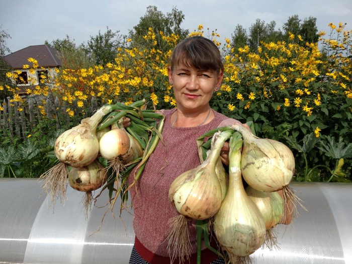 Що садити у січні на розсаду
