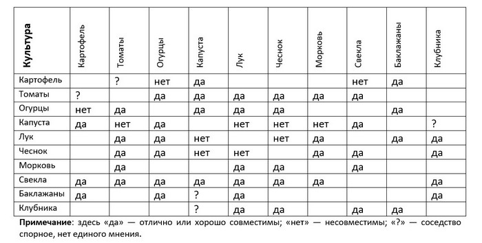 Як вибирати ідеальне сусідство рослин на грядці