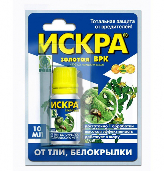 Попелиця: як виглядає і чим боротися? Рейтинг коштів 2024