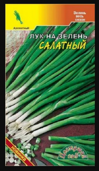 Лук-батун: коли і як висаджувати для багатого врожаю