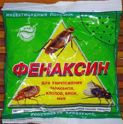 Вибираємо ефективний порошок від клопів