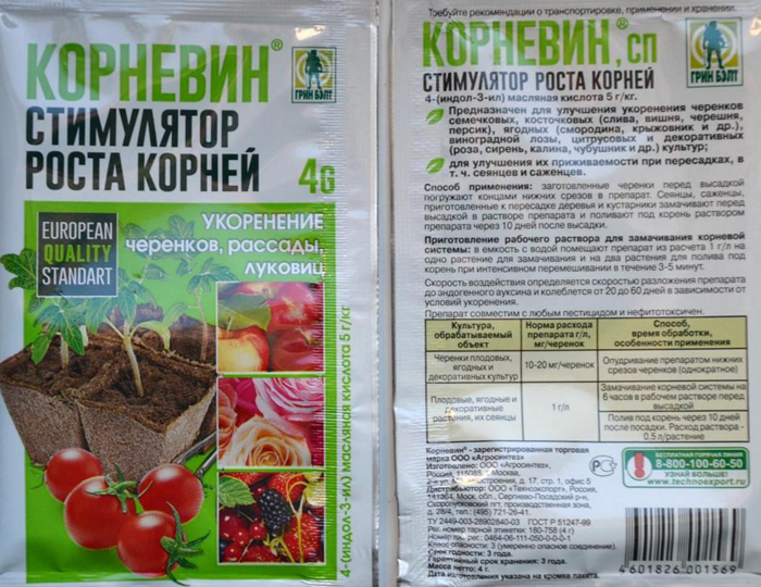Коли саджати полуницю в Україні у 2024 році