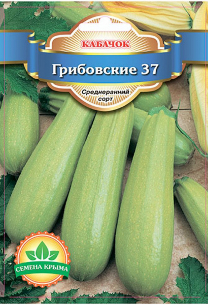 Найкращі сорти кабачків &ndash; 55 сортів 2024 року