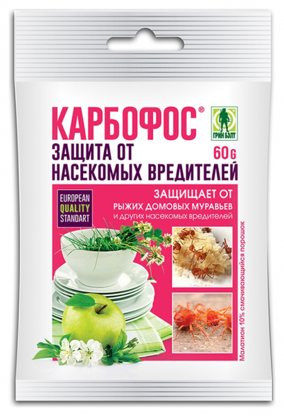 Павутинний кліщ на огірках у теплиці
