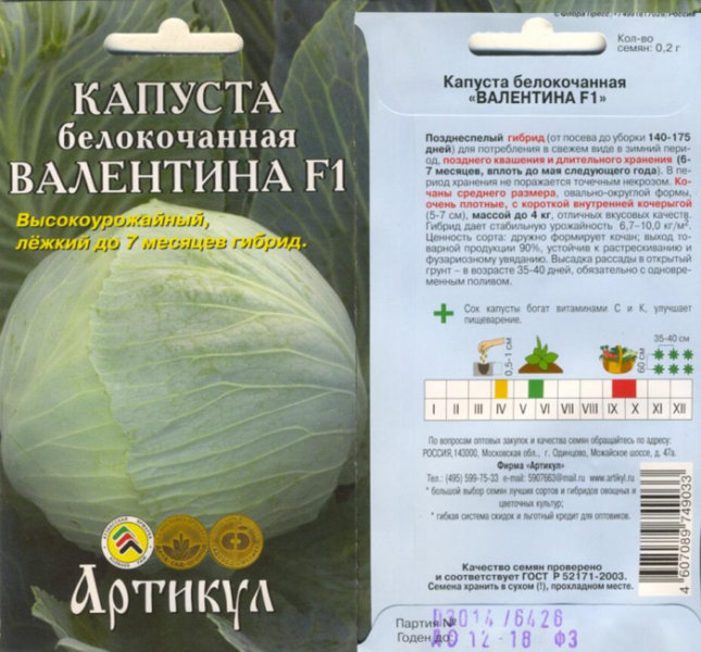 Як зберігати капусту: 11 найкращих способів зберігання капусти взимку