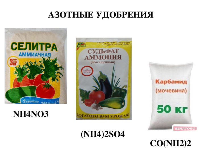 Бальзамін (40 фото) &mdash; опис, види та сорти, вирощування та догляд
