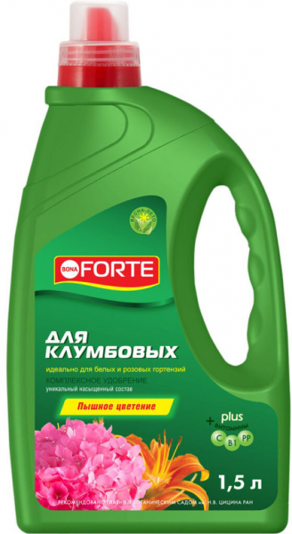 Деревоподібна гортензія (80 фото) &mdash; опис, сорти, догляд