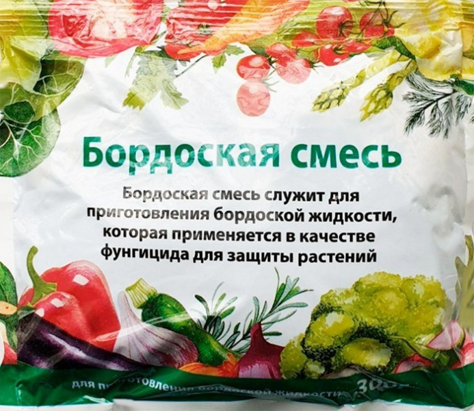 Плющ: опис, види та сорти, посадка та вирощування
