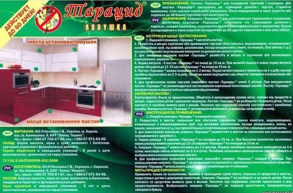 15 найкращих коштів від мурах у квартирі