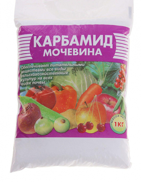 Картопля Бриз (35 фото) &ndash; опис сорту та відгуки