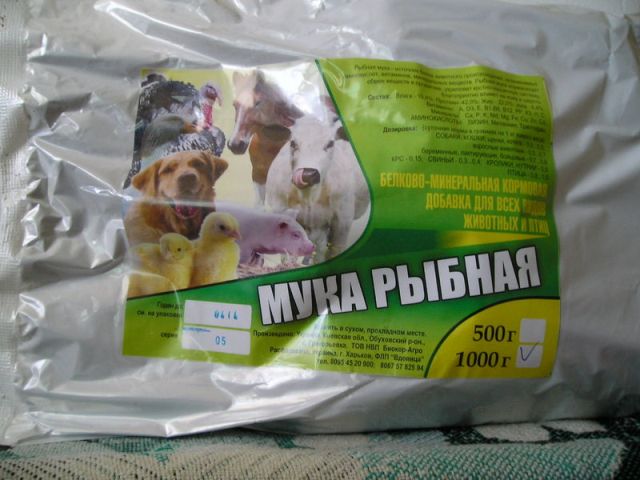 Кісткове борошно як добриво для рослин - як зробити, як застосовувати