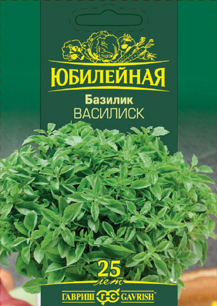 Як виростити базилік &ndash; сорти, вирощування прянощі від А до Я