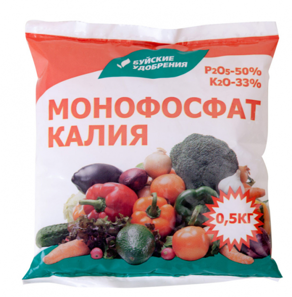 Картопля Коломбо (50 фото) &ndash; опис сорту, смакові якості, відгуки