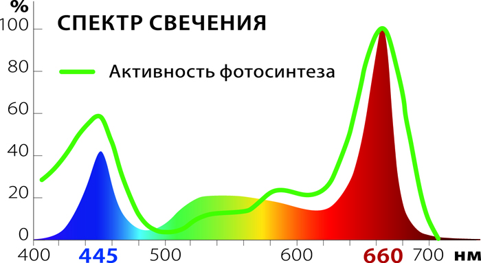 Які лампи потрібні для розсади