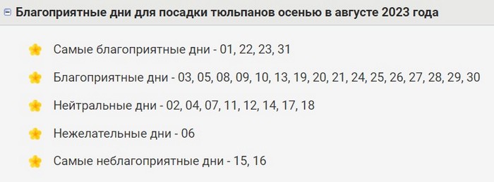 Посадка тюльпанів восени 2024: терміни та особливості