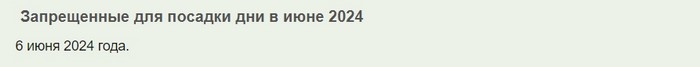 Що посадити у червні 2024 року у відкритий ґрунт та теплицю