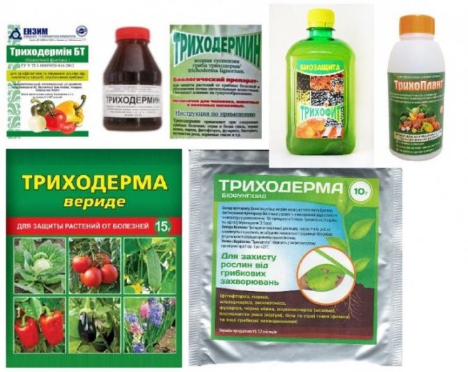 Триходермін — інструкція із застосування для рослин та відгуки