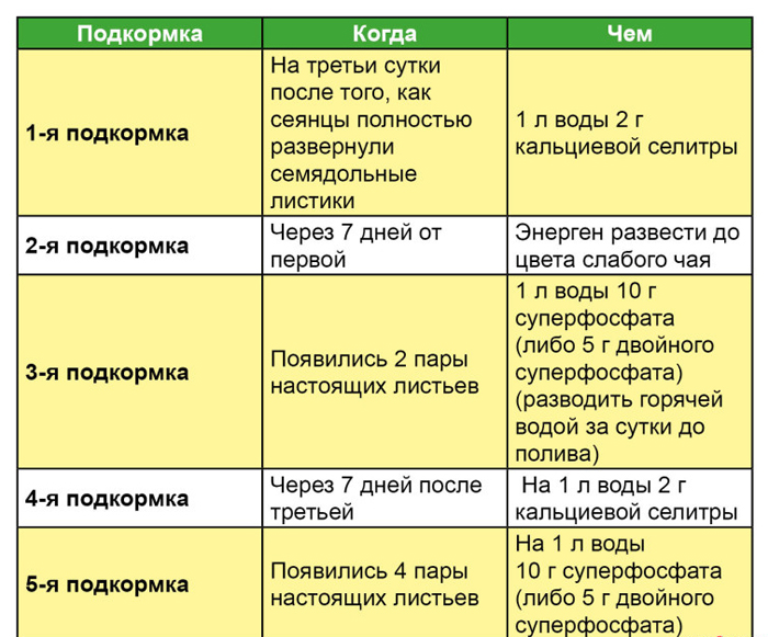 Чому витягується розсада &ndash; 5 причин та їх вирішення