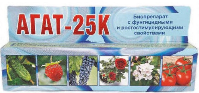 Крупа кіноа &ndash; що це? Від А до Я про кіноа: вирощування, користь, як готувати (30 фото)