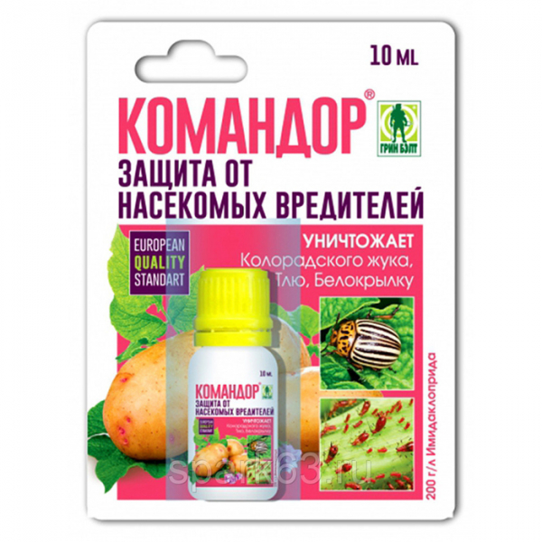 Попелиця: як виглядає і чим боротися? Рейтинг коштів 2024