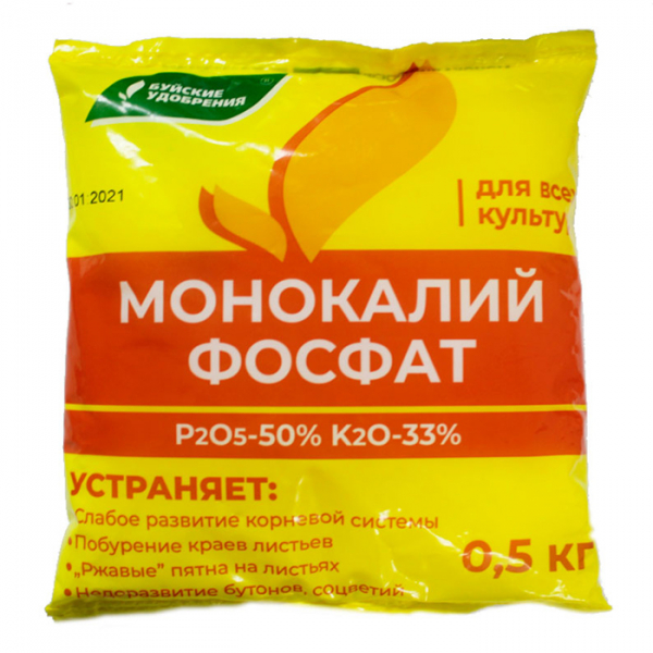 Гортензія волотиста Сандей Фрайз (65 фото) &mdash; опис сорту, посадка та догляд