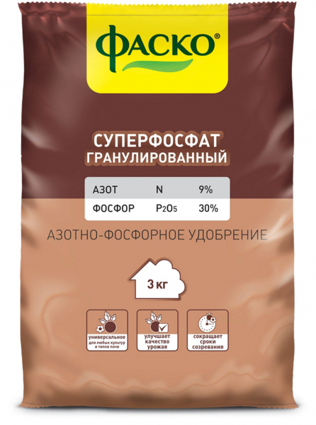 Як виростити часник (30 фото) - правила вирощування ярого та озимого часнику.
